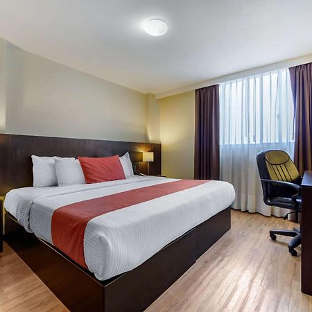 Comfort Inn San Luis Potosi Exterior photo