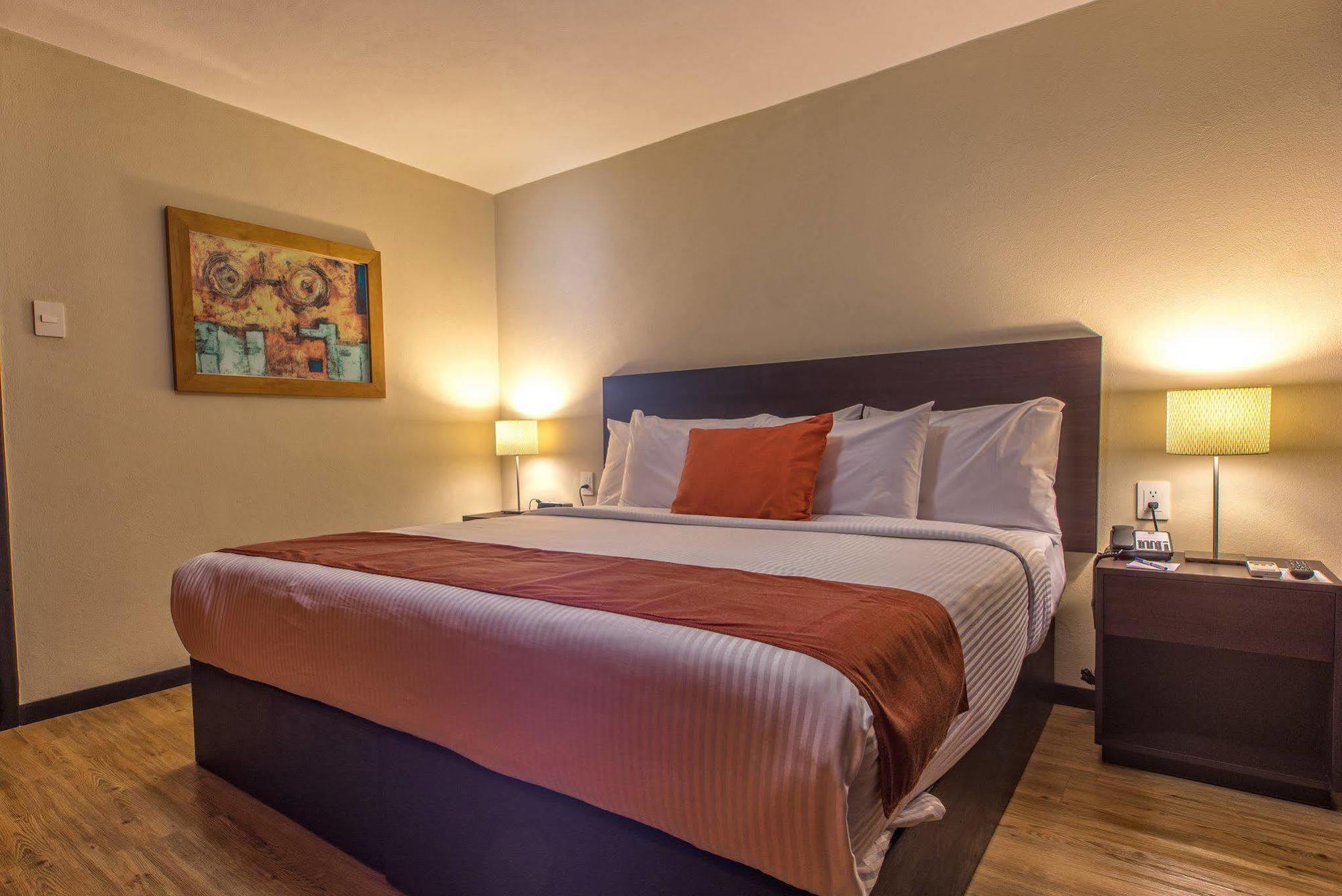 Comfort Inn San Luis Potosi Exterior photo